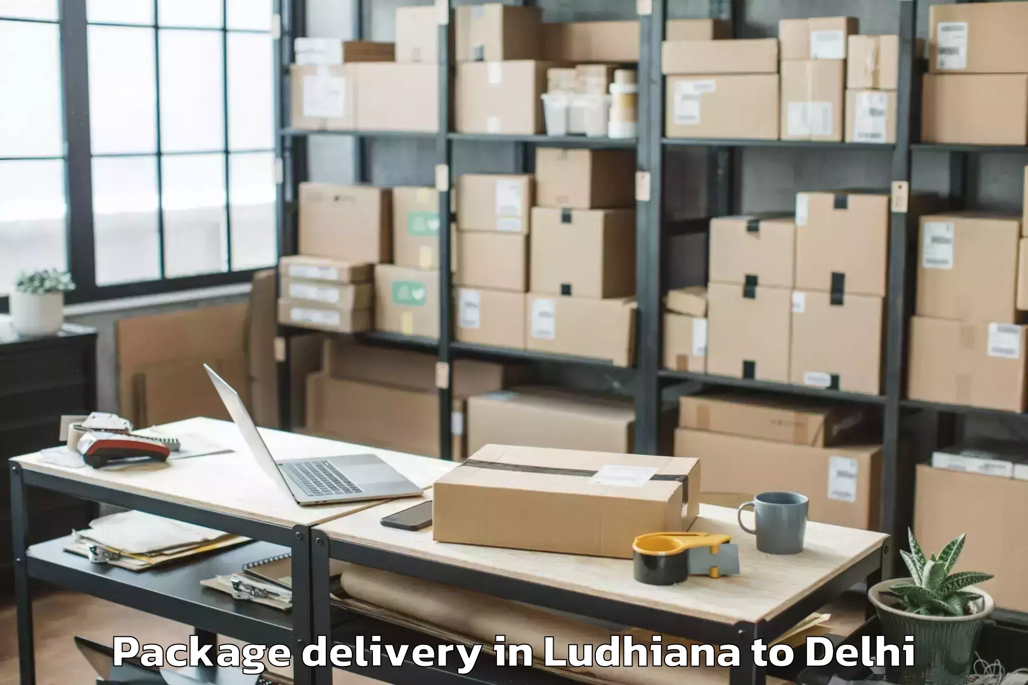 Reliable Ludhiana to Pahar Ganj Package Delivery